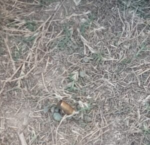 गोरखपुर में दोस्ती का कत्ल: चिलुआताल में घर से बुलाकर युवक को उतारा मौत के घाट, आक्रोशित परिजनों ने किया चक्काजाम