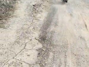 विकास के दावों के बीच ‘धुरियापार चीनी मिल सड़क मार्ग’ बदहाल: सरम के पास दो फुट धंसी सड़क, जल निकासी न होने से हर साल बन रहा दलदल