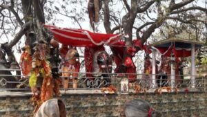 सिद्ध शक्तिपीठ: बारानगर बीरकालिका माता के दरबार में पूरी होती हैं मन्नतें, ‘बारानगर बीरकालिका माता मंदिर 2026’ में उमड़ रहा आस्था का जनसैलाब