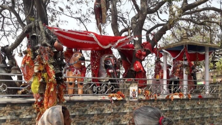 सिद्ध शक्तिपीठ: बारानगर बीरकालिका माता के दरबार में पूरी होती हैं मन्नतें, ‘बारानगर बीरकालिका माता मंदिर 2026’ में उमड़ रहा आस्था का जनसैलाब